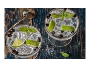 Gin Cuzco Bebidas